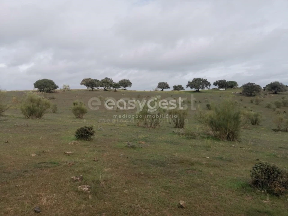 Terreno Agricola ou Rústico para Venda em Amieira e Alqueva Foto 12