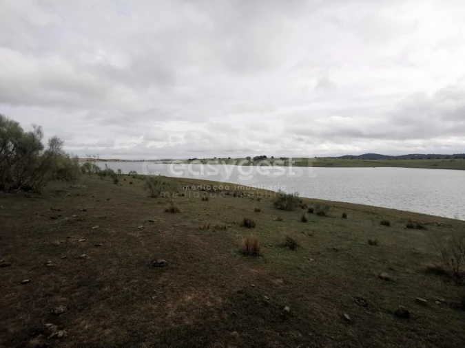 Terreno Agricola ou Rústico para Venda em Amieira e Alqueva Foto 1