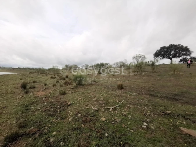 Terreno Agricola ou Rústico para Venda em Amieira e Alqueva Foto 4