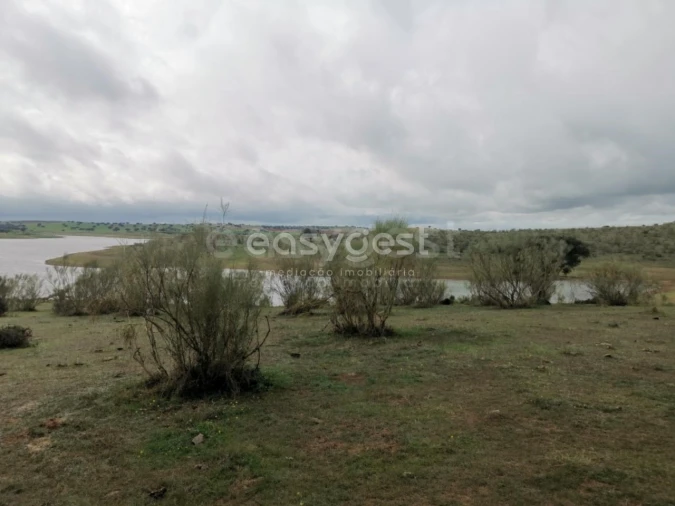 Terreno Agricola ou Rústico para Venda em Amieira e Alqueva Foto 6