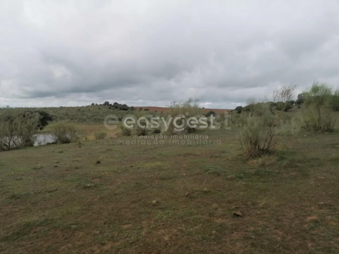 Terreno Agricola ou Rústico para Venda em Amieira e Alqueva Foto 7
