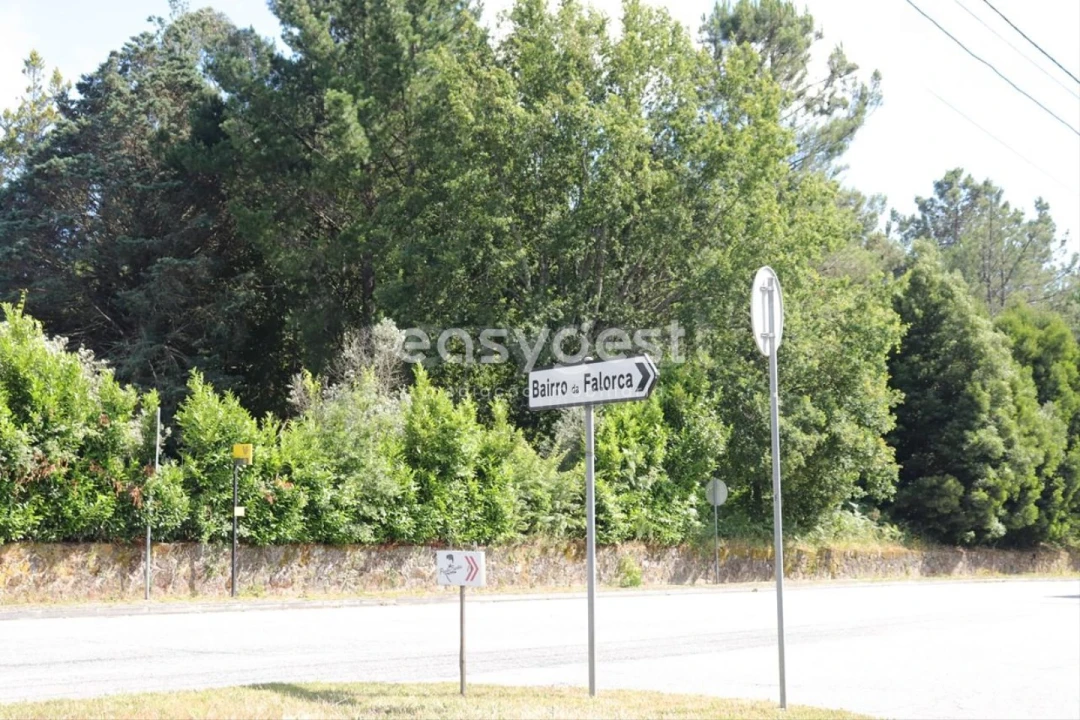 Terreno para Venda em Mundão Foto 5