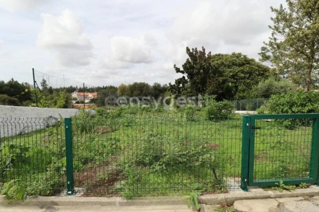 Moradia T3 para Venda em Branca Foto 32