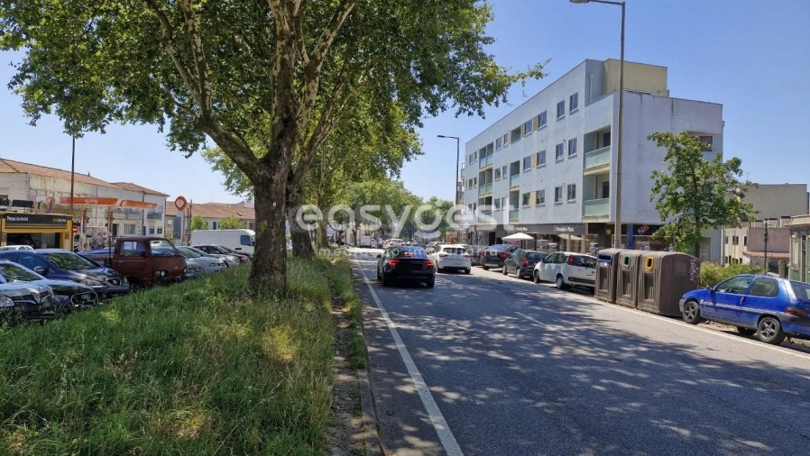 Terreno para Venda em Paranhos Foto 4
