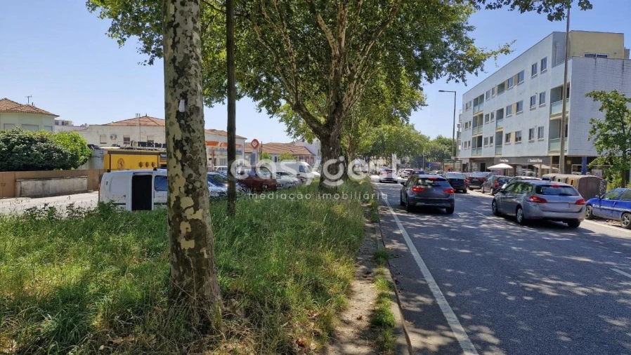 Terreno para Venda em Paranhos Foto 7