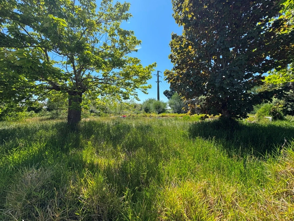 Moradia T5 para Venda em Tocha Foto 30