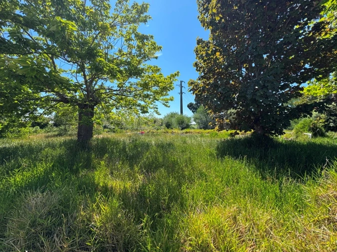 Moradia T5 para Venda em Tocha Foto 30