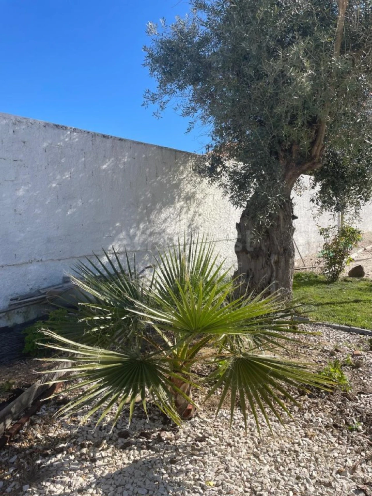 Moradia T3 para Venda em Salvada e Quintos Foto 32