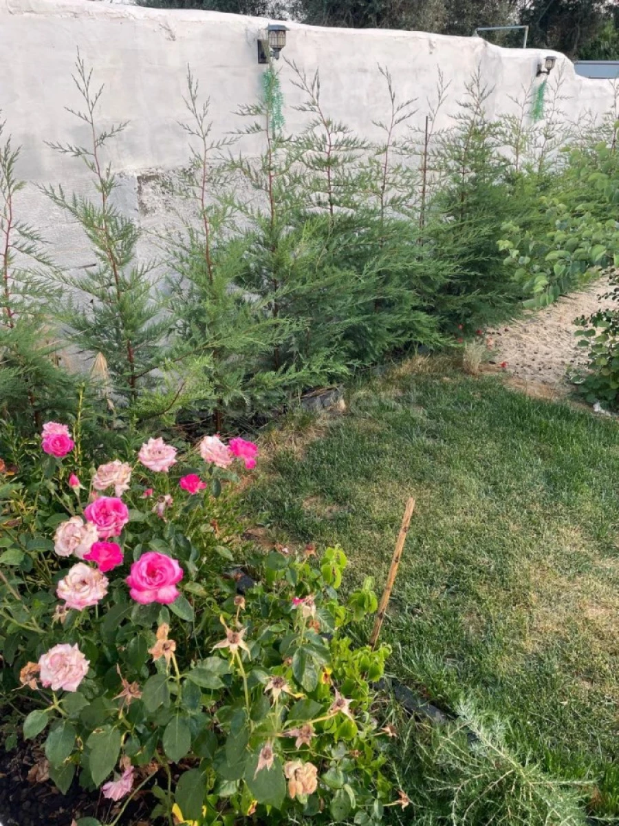 Moradia T3 para Venda em Salvada e Quintos Foto 48