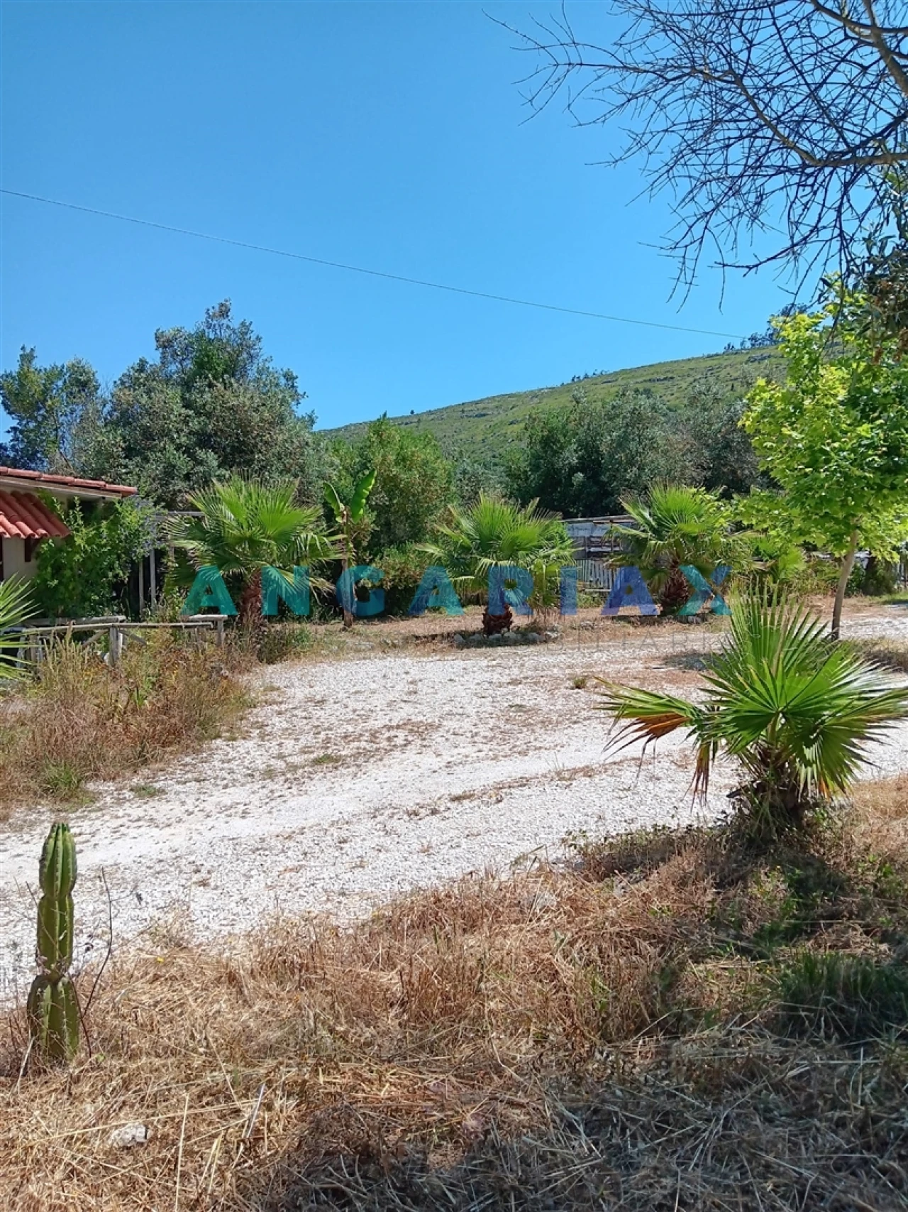 Moradia T3 para Venda em Arrimal e Mendiga Foto 25