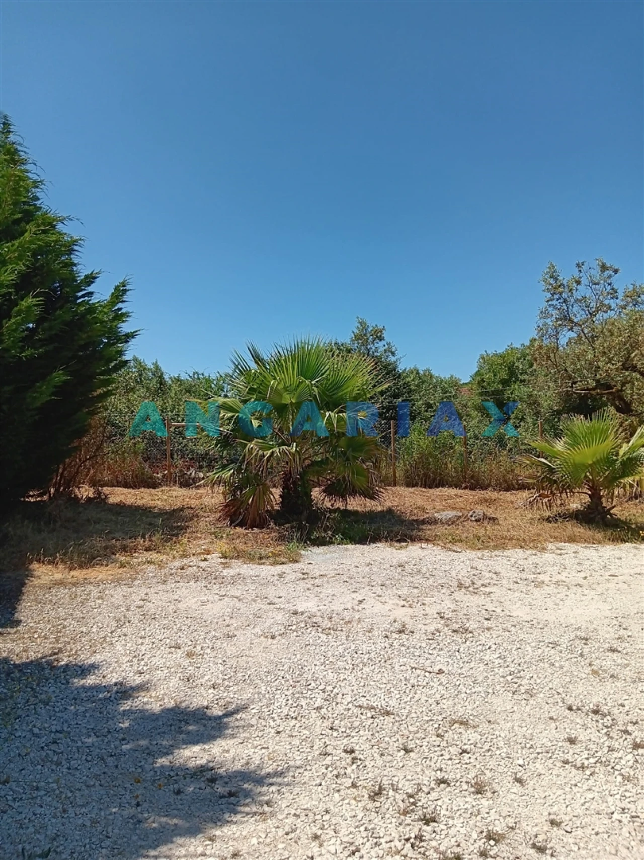 Moradia T3 para Venda em Arrimal e Mendiga Foto 22