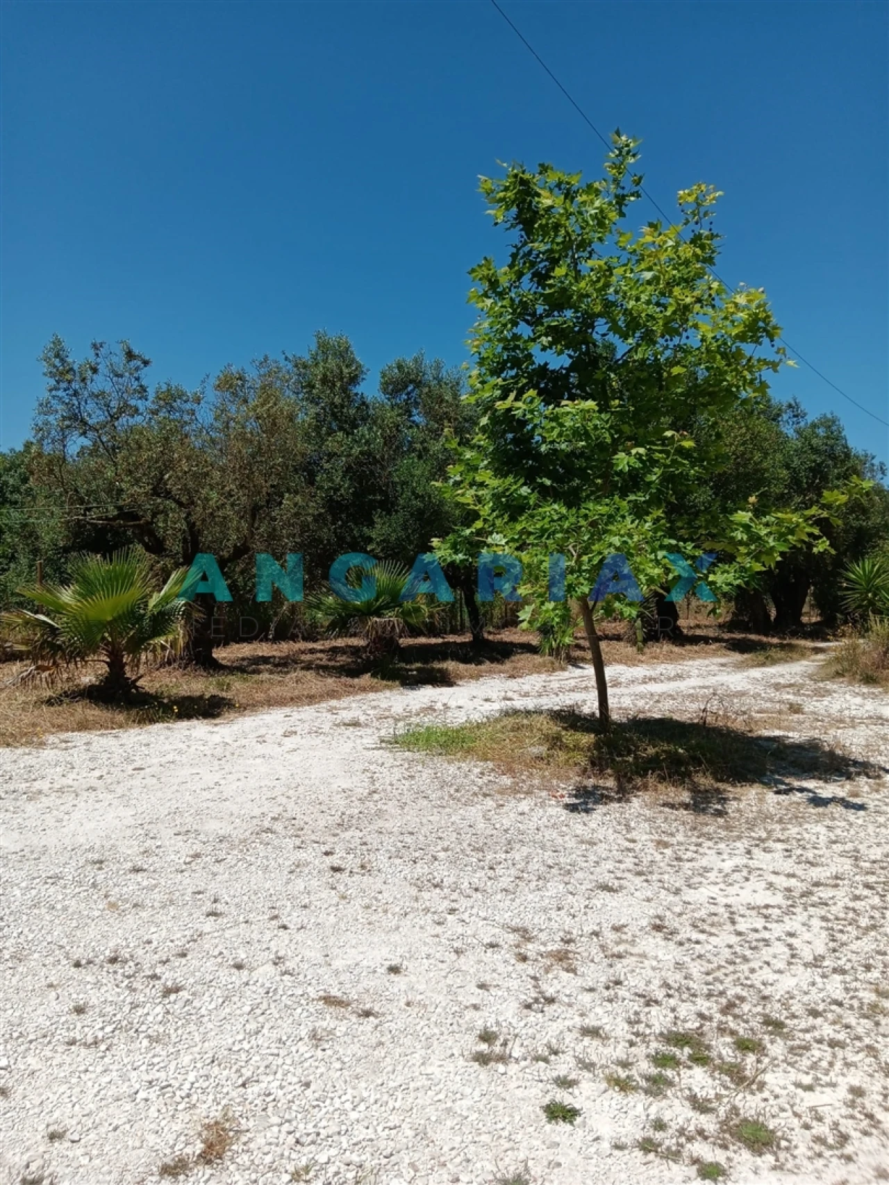 Moradia T3 para Venda em Arrimal e Mendiga Foto 20