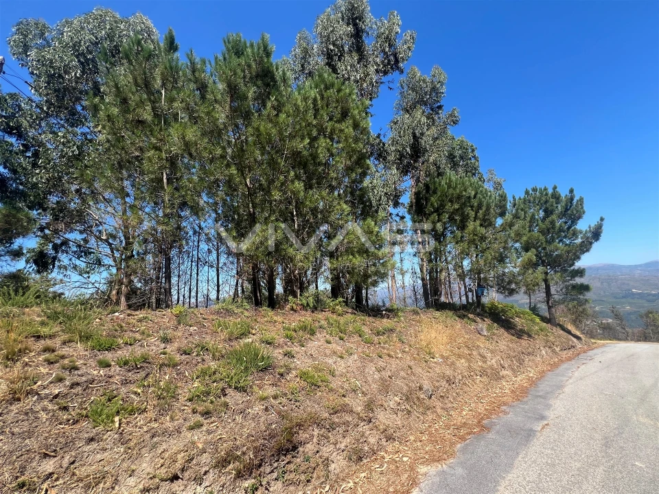 Terreno para Venda em Sabadim Foto 1