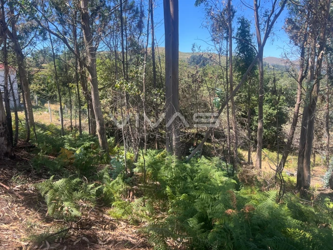 Terreno para Venda em Sabadim Foto 7