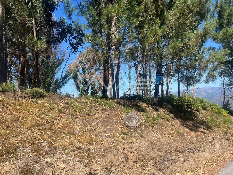 Terreno para Venda em Sabadim Foto 2