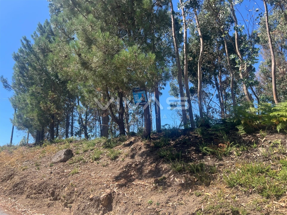 Terreno para Venda em Sabadim Foto 8
