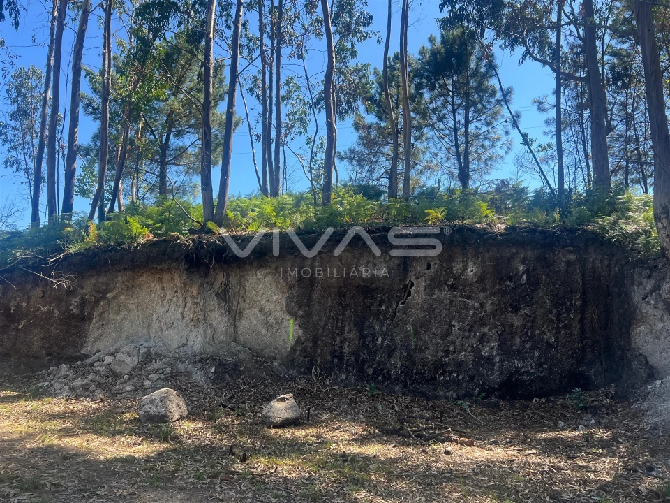 Terreno para Venda em Sabadim Foto 6