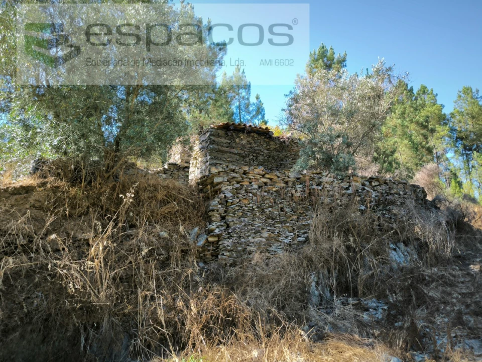 Quinta para Venda em Lavacolhos Foto 3