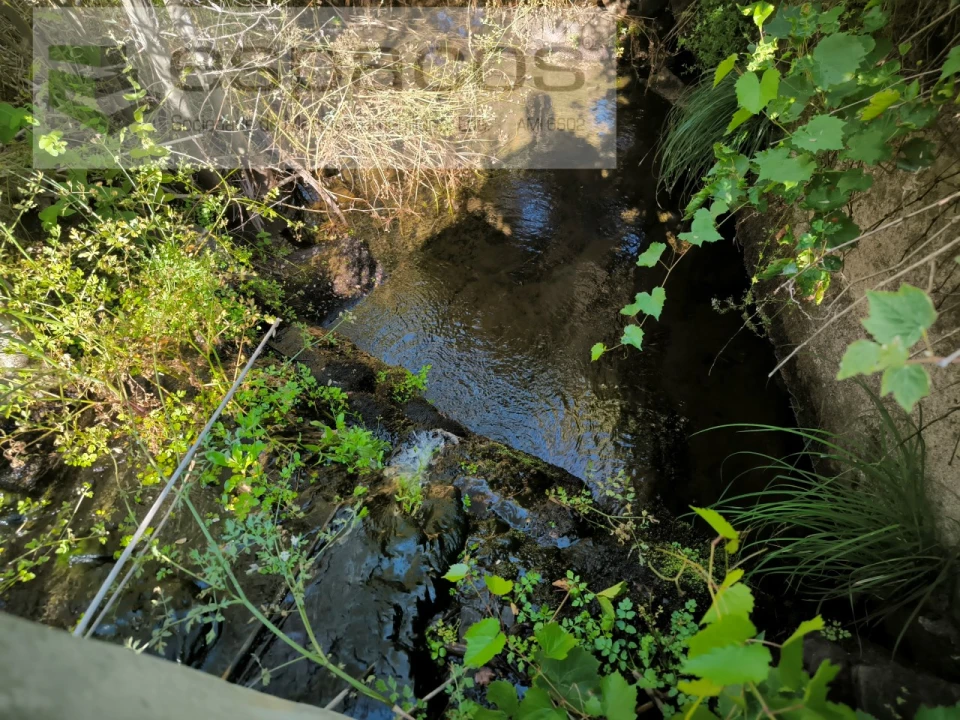 Quinta para Venda em Lavacolhos Foto 4