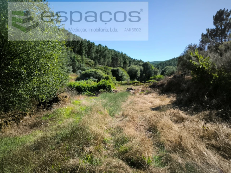 Quinta para Venda em Lavacolhos Foto 5