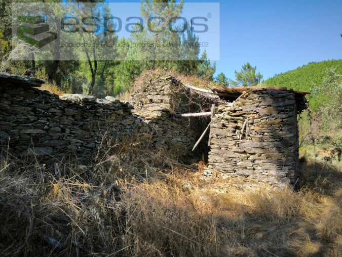 Quinta para Venda em Lavacolhos Foto 1