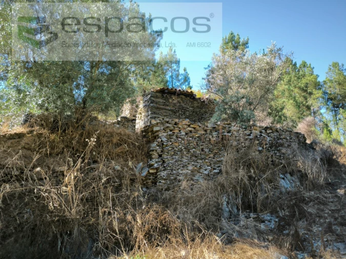 Quinta para Venda em Lavacolhos Foto 3