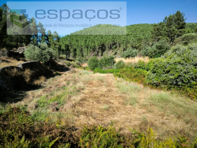 Quinta para Venda em Lavacolhos Foto 6