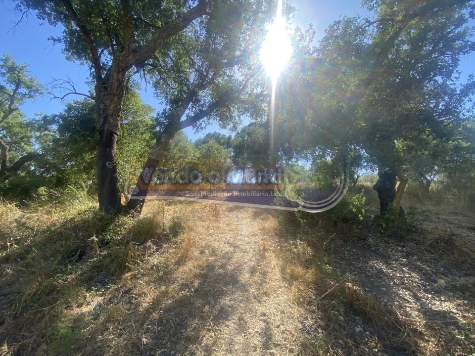 Moradia T2 para Venda em Mora Foto 8