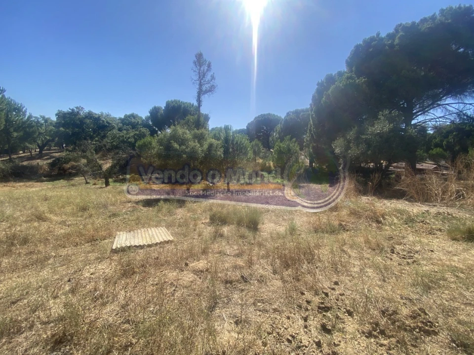 Moradia T2 para Venda em Mora Foto 6