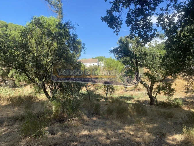 Moradia T2 para Venda em Mora Foto 9