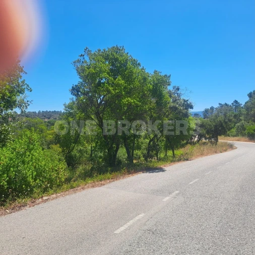 Terreno para Venda em Vila Seca e Bem da Fé Foto 4