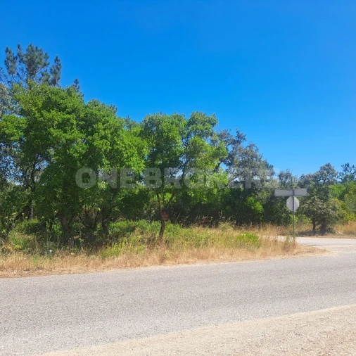 Terreno para Venda em Vila Seca e Bem da Fé Foto 2