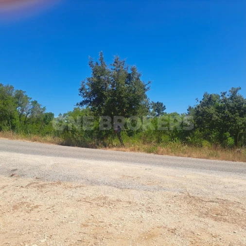Terreno para Venda em Vila Seca e Bem da Fé Foto 3