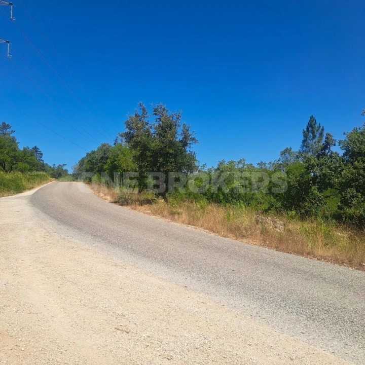 Terreno para Venda em Vila Seca e Bem da Fé Foto 5