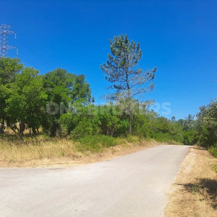 Terreno para Venda em Vila Seca e Bem da Fé Foto 1