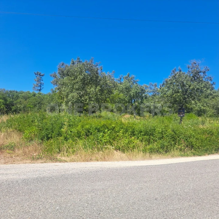 Terreno para Venda em Vila Seca e Bem da Fé Foto 3
