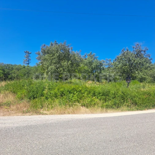 Terreno para Venda em Vila Seca e Bem da Fé Foto 3