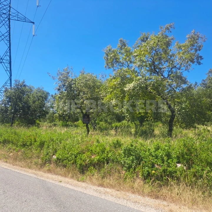 Terreno para Venda em Vila Seca e Bem da Fé Foto 4