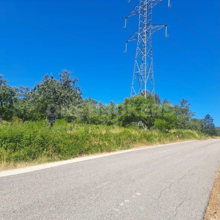 Terreno para Venda em Vila Seca e Bem da Fé Foto 2