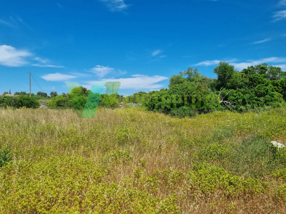 Terreno Misto para Venda em Alcantarilha e Pêra Foto 6