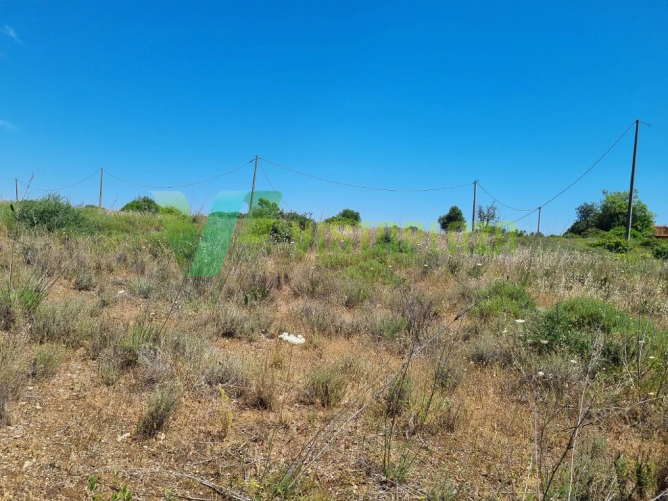 Terreno Misto para Venda em Alcantarilha e Pêra Foto 7