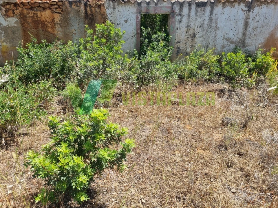Terreno Misto para Venda em Alcantarilha e Pêra Foto 9