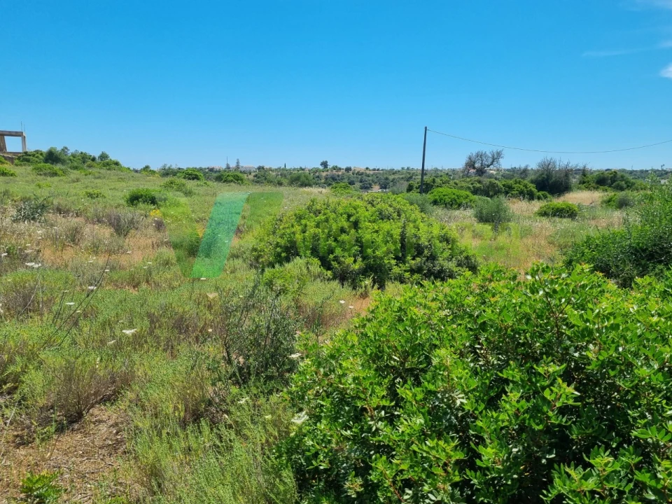 Terreno Misto para Venda em Alcantarilha e Pêra Foto 11