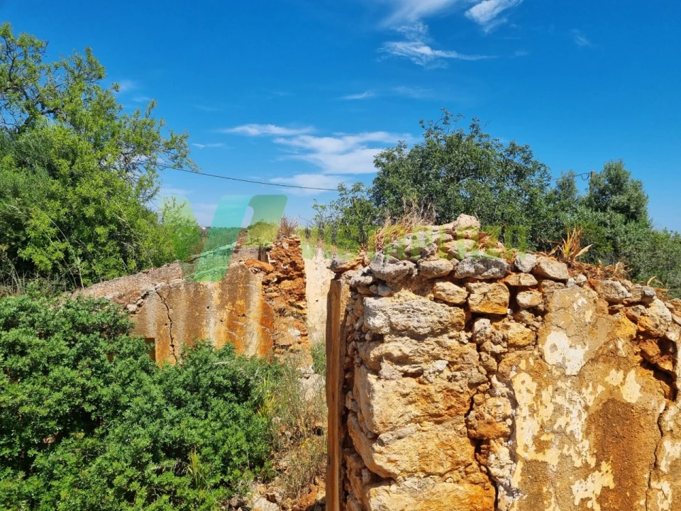 Terreno Misto para Venda em Alcantarilha e Pêra Foto 17