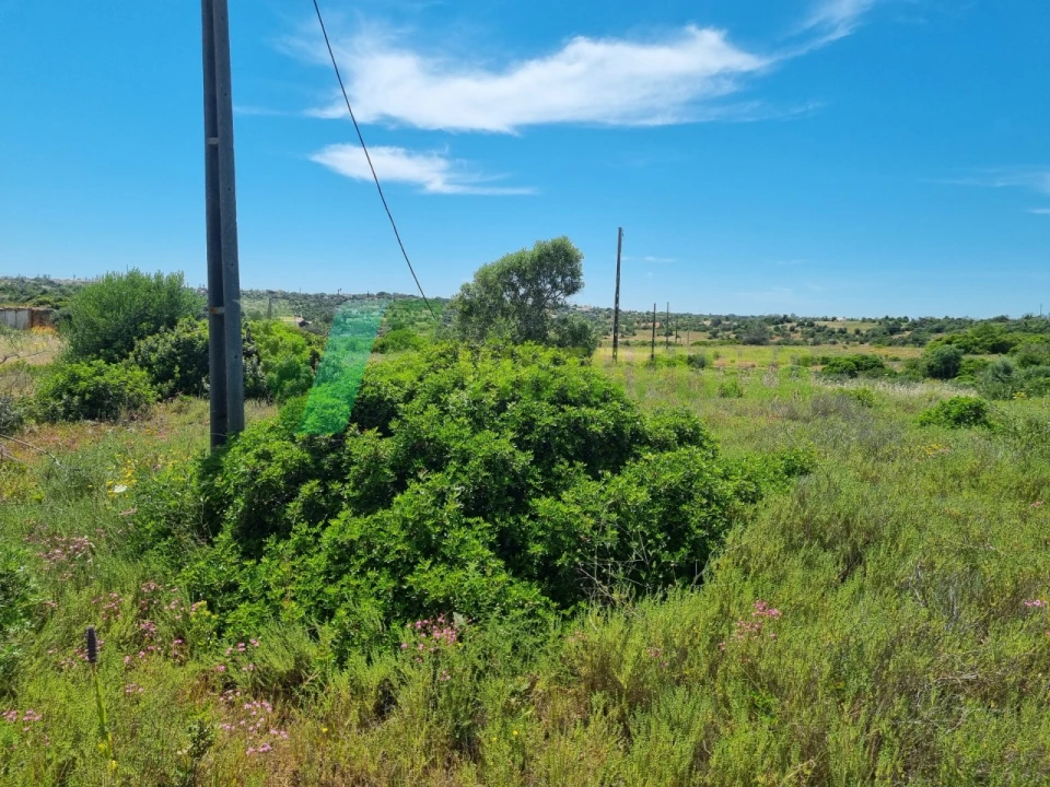 Terreno Misto para Venda em Alcantarilha e Pêra Foto 23