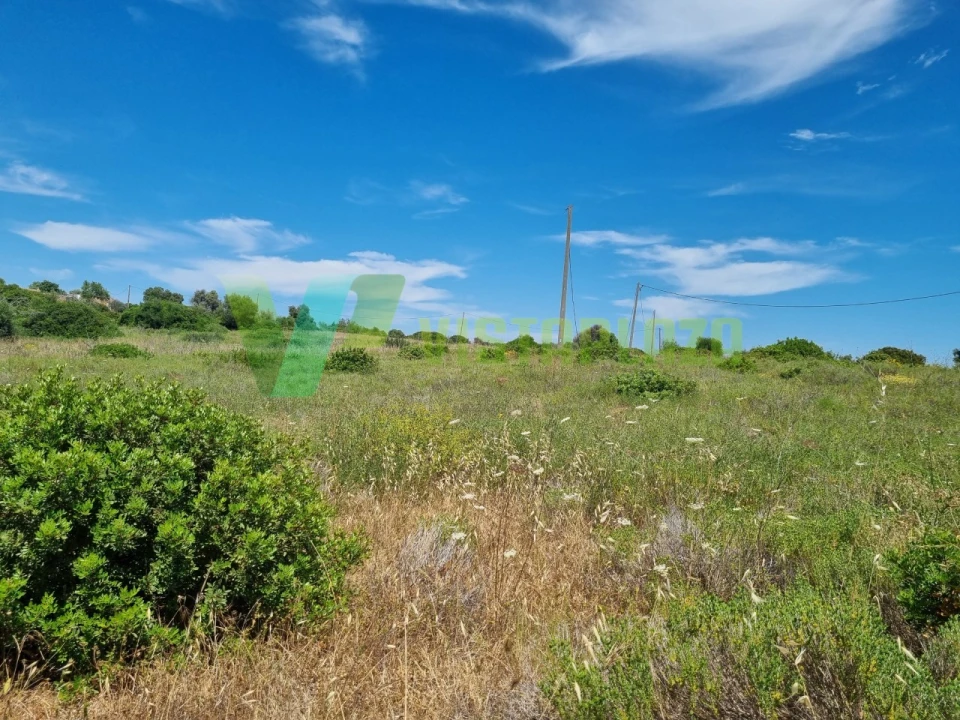 Terreno Misto para Venda em Alcantarilha e Pêra Foto 24