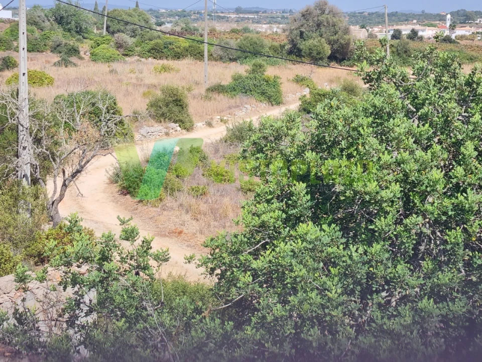 Terreno Misto para Venda em Alcantarilha e Pêra Foto 25