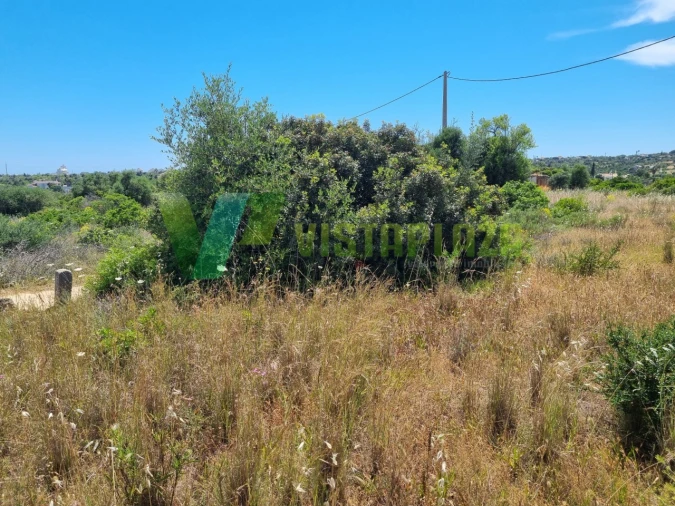 Terreno Misto para Venda em Alcantarilha e Pêra Foto 26