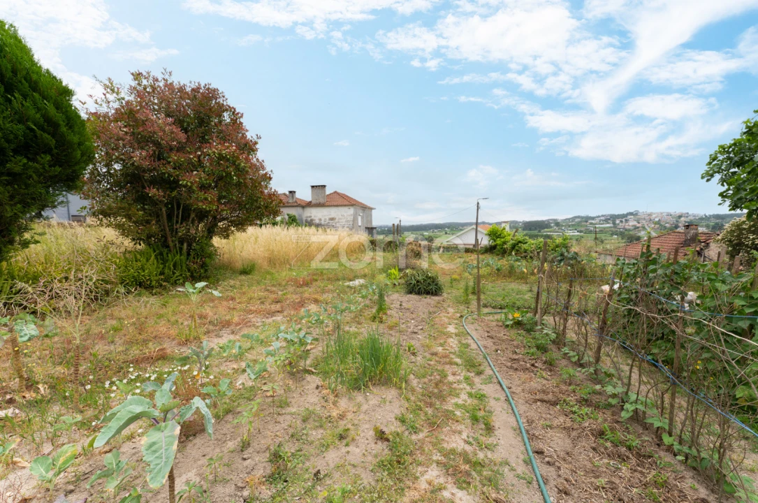 Terreno para Venda em Coronado (São Romão e São Mamede) Foto 1