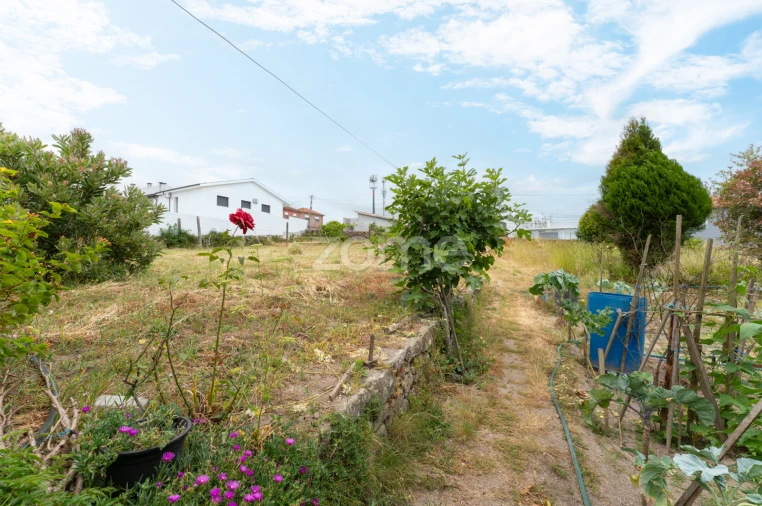 Terreno para Venda em Coronado (São Romão e São Mamede) Foto 3